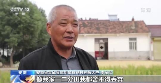 十八連豐！秋收近九成 我國(guó)糧食產(chǎn)能穩(wěn)步提升
