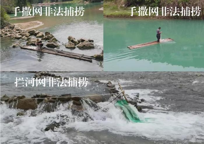 2021年9—10月，前期暗查發(fā)現(xiàn)，保護(hù)區(qū)核心區(qū)內(nèi)非法捕撈行為十分猖獗