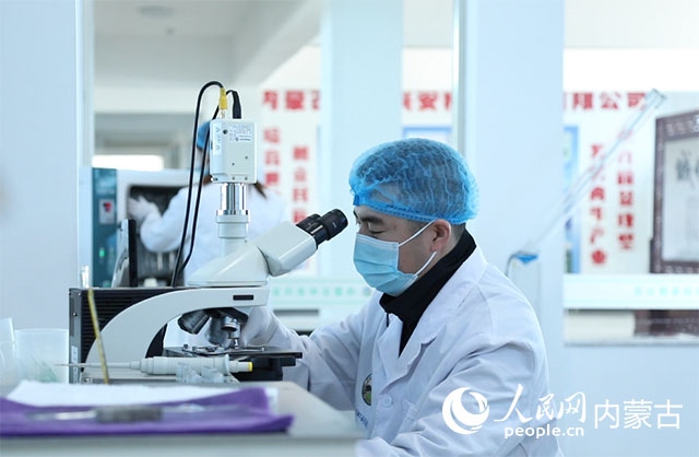 內(nèi)蒙古中農(nóng)興安種?？萍加邢薰韭鋺艨朴抑衅欤瑸槿馀．a(chǎn)業(yè)發(fā)展提供了優(yōu)質(zhì)的種源保障。白俊華攝