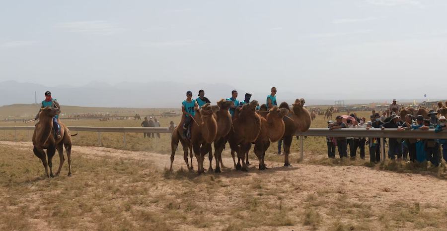 1757823649303933.jpeg WechatIMG10356.jpeg