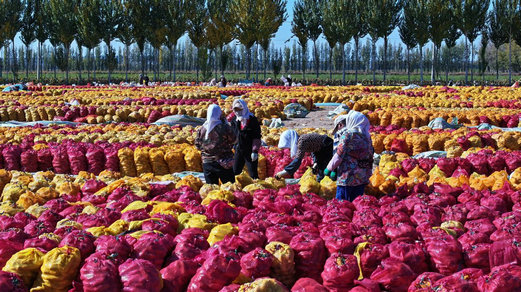 1760062798100935.jpg 赤峰2.jpg