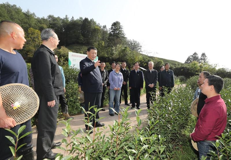 2021年3月22日，習(xí)近平總書記在福建南平武夷山市星村鎮(zhèn)燕子窠生態(tài)茶園，同科技特派員、茶農(nóng)親切交流，了解當(dāng)?shù)夭璁a(chǎn)業(yè)發(fā)展情況。