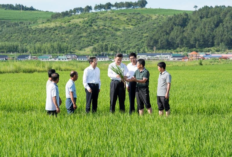 2015年7月16日，習(xí)近平總書記在吉林延邊州光東村稻田同村民和農(nóng)技人員交流。