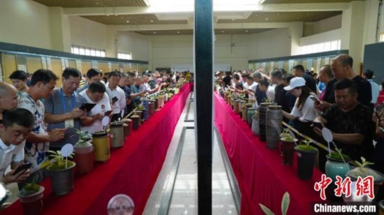 圖為活動現(xiàn)場。 云南省委臺辦供圖