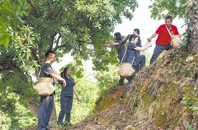 村民幫助志愿者爬上山坡。