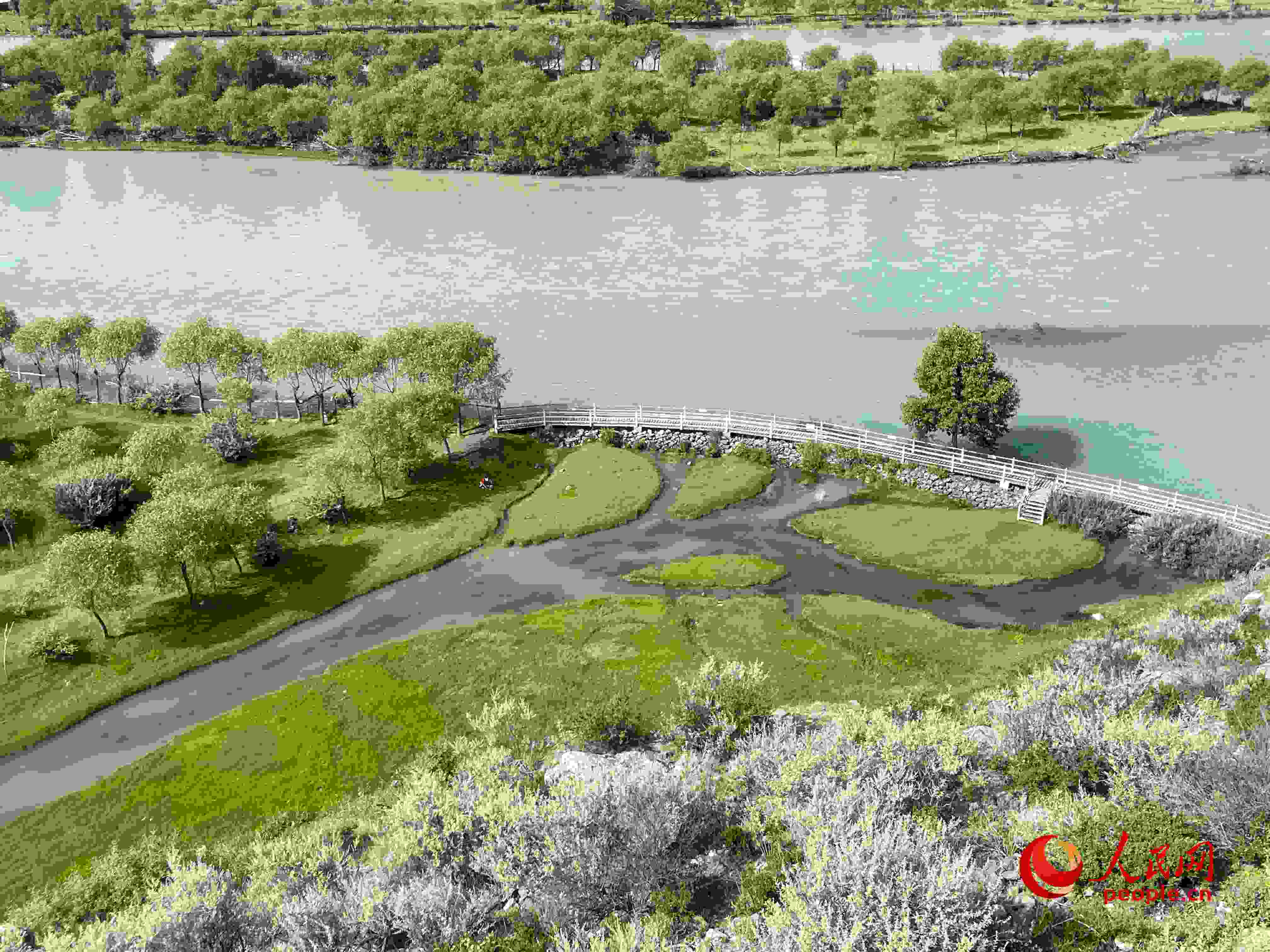 夏日的雅尼國家濕地公園生機(jī)盎然，如詩如畫。人民網(wǎng) 周靜圓攝