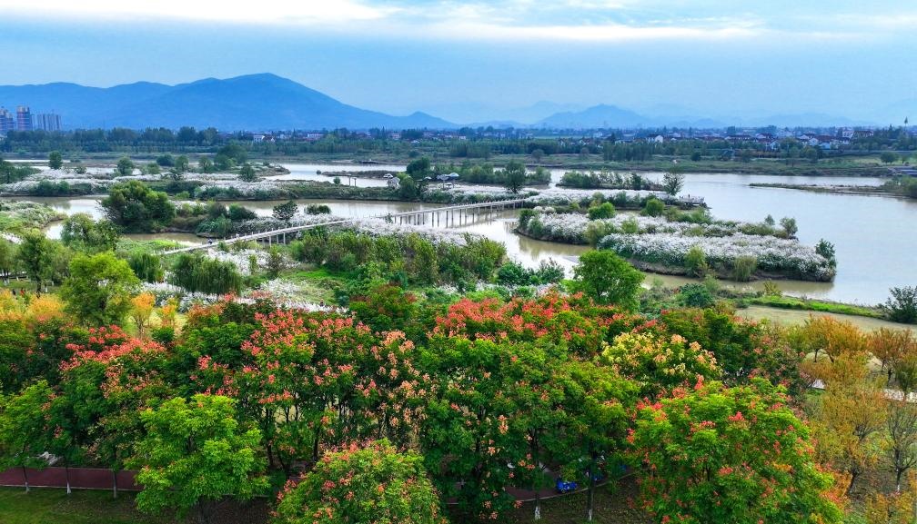 2022年10月11日拍攝的天漢濕地公園景色。新華社發(fā)（宋曉麗 攝）
