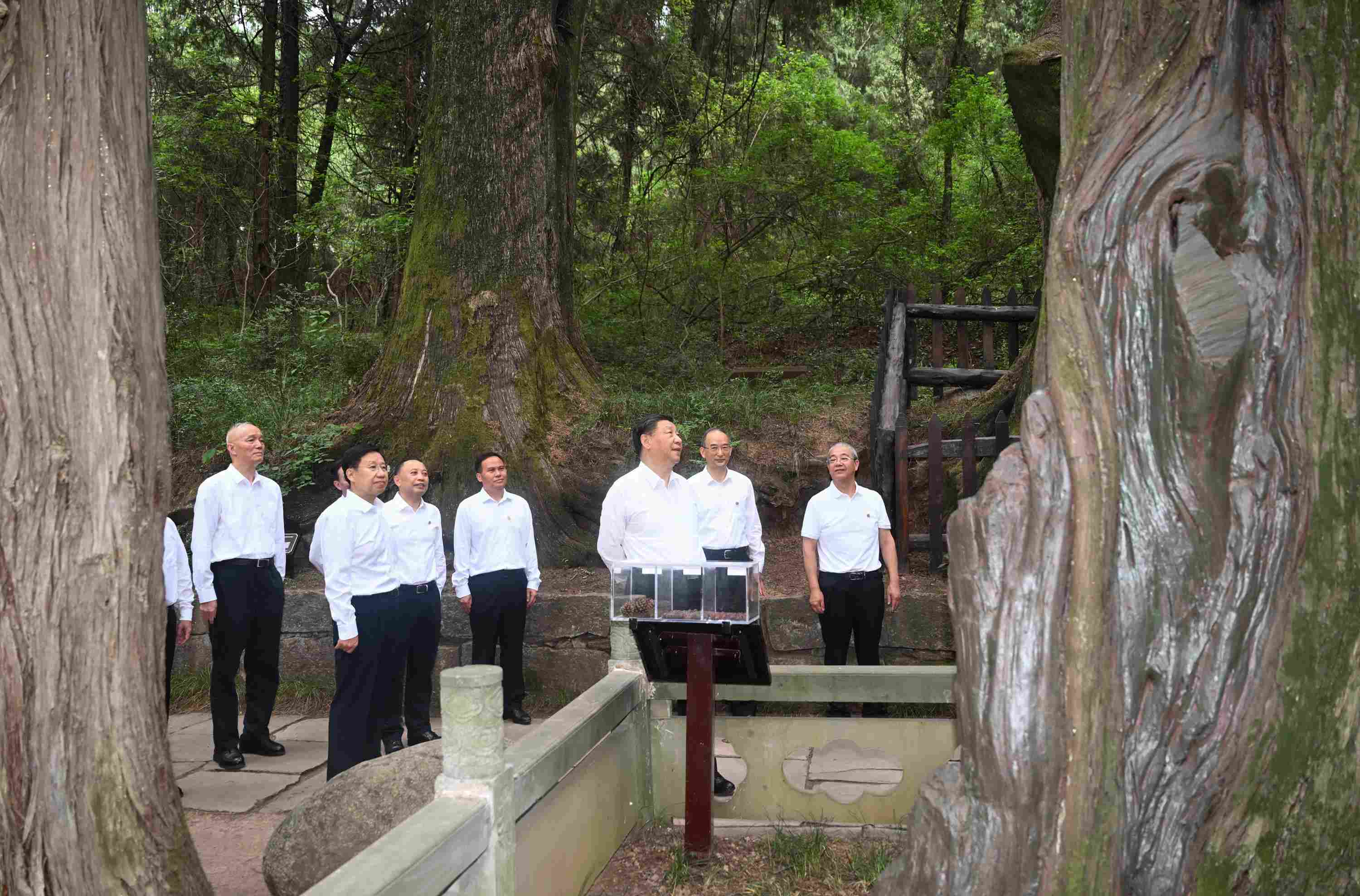 △2023年7月25日，習近平總書記在四川省廣元市考察了翠云廊古蜀道，了解當?shù)赝七M歷史文化傳承、加強生態(tài)文明建設等情況。