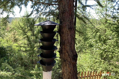 (誘捕器 央視網(wǎng)記者王靜遠(yuǎn) 攝)