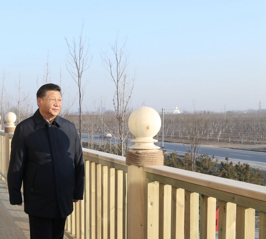 2019年1月16日，習(xí)近平在河北雄安新區(qū)考察調(diào)研。在“千年秀林”大清河片林一區(qū)造林區(qū)域，習(xí)近平登上秀林驛站二層平臺遠(yuǎn)眺林區(qū)全貌。