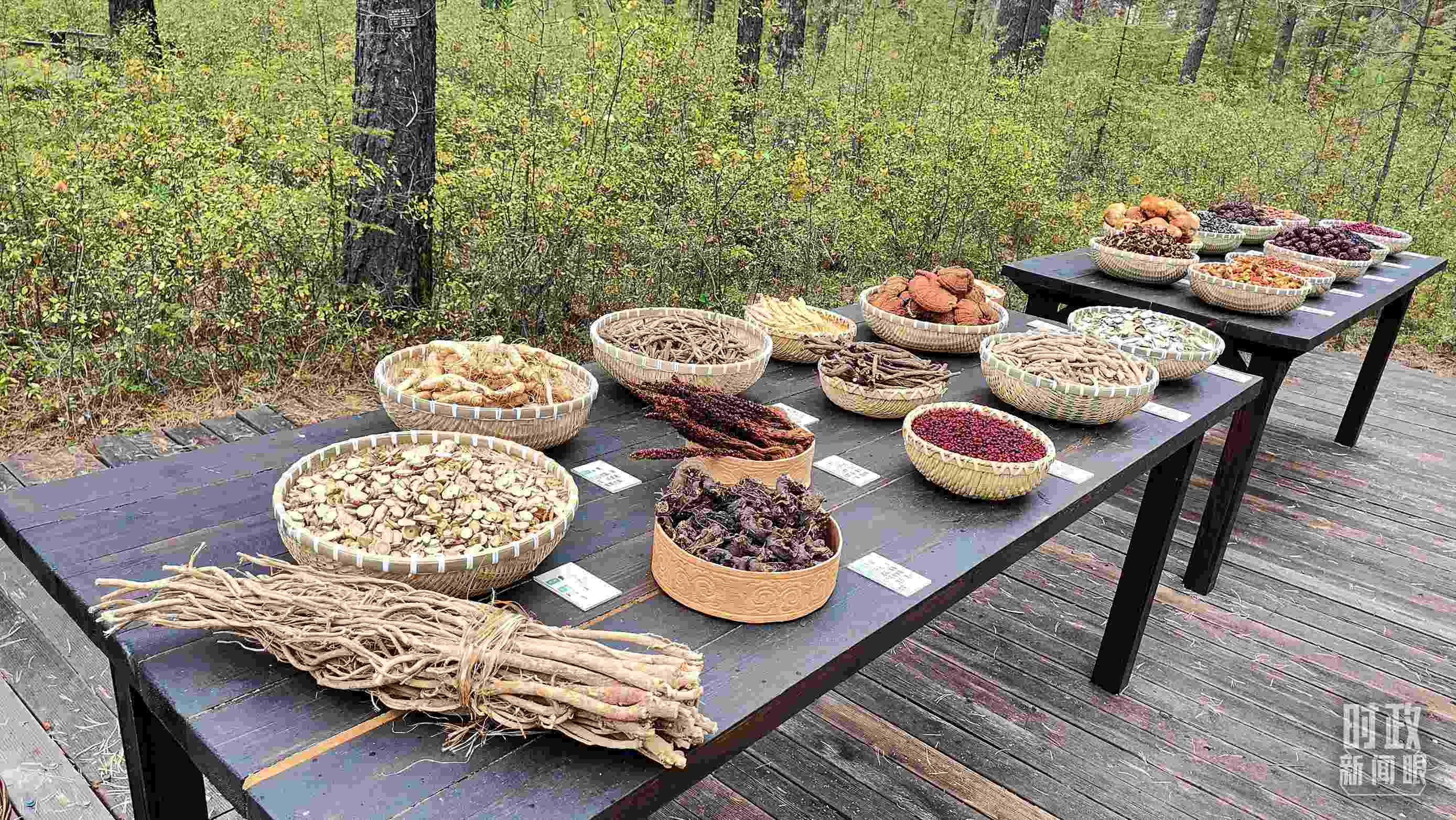 △林場里的食用菌、林果等特產。（總臺央視記者楊立峰拍攝）