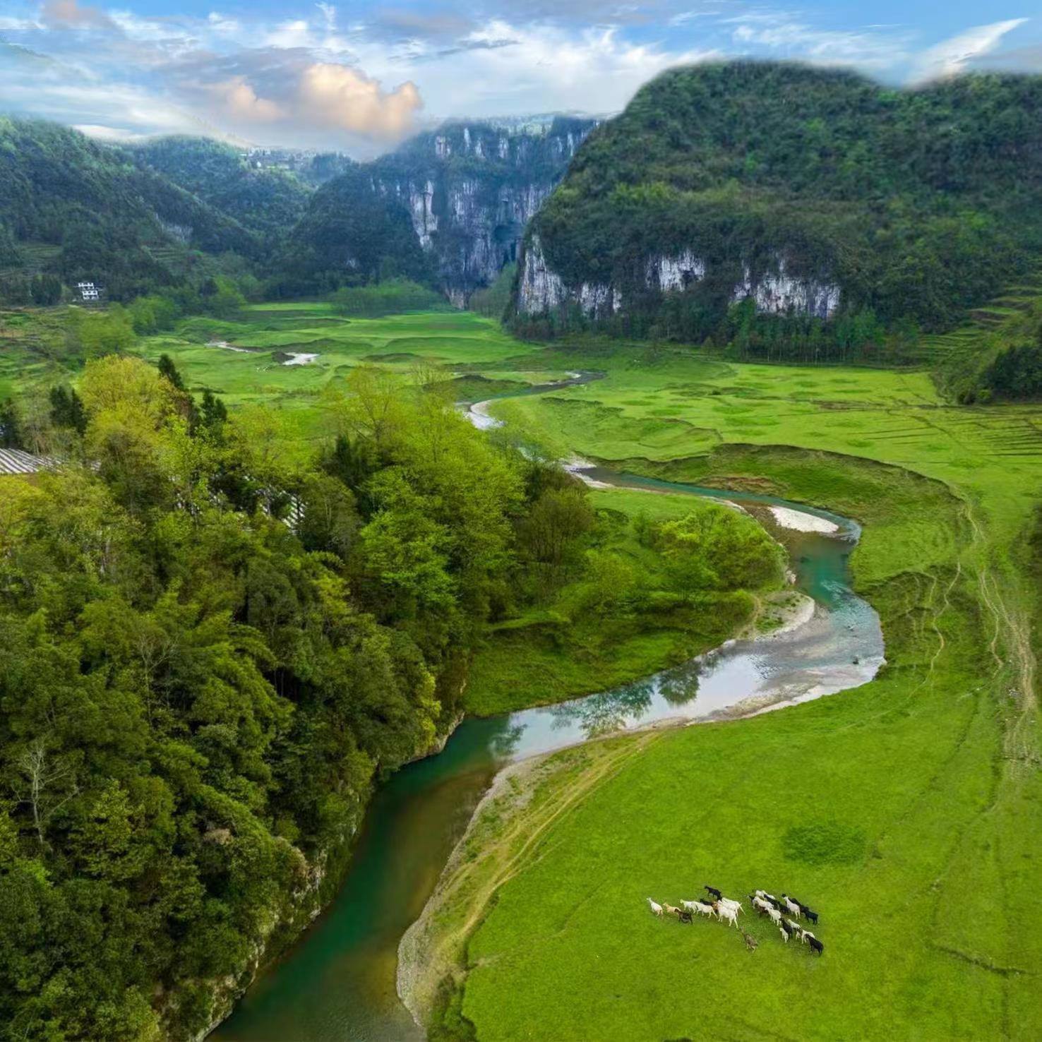 棣棠鄉(xiāng)龍氼孔千畝大草原自駕露營基地。棣棠鄉(xiāng)人民政府供圖
