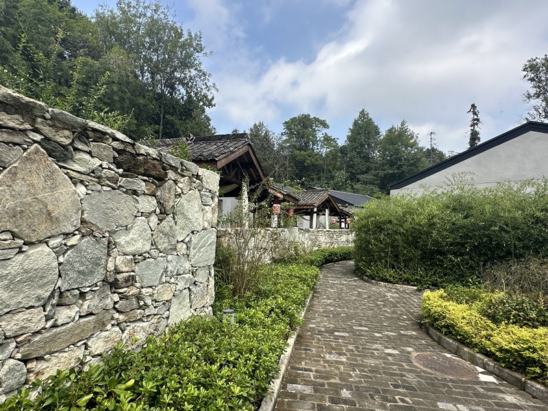 眾多民宿坐落于夫子山山麓。人民網(wǎng) 王紹紹攝