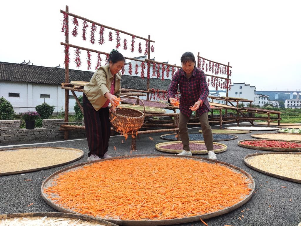 近日，江西省上饒市婺源縣秋口鎮(zhèn)王村的村民正在晾曬農(nóng)作物。新華社記者 劉佳敏 攝