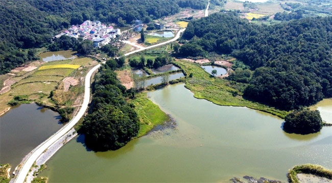 楊金龍用手機拍攝的道路全景。受訪者供圖