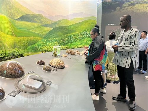  （在中國(guó)藥都中醫(yī)藥博物館，外媒記者了解中醫(yī)藥發(fā)展史。中國(guó)經(jīng)濟(jì)周刊記者 郭志強(qiáng) 攝）