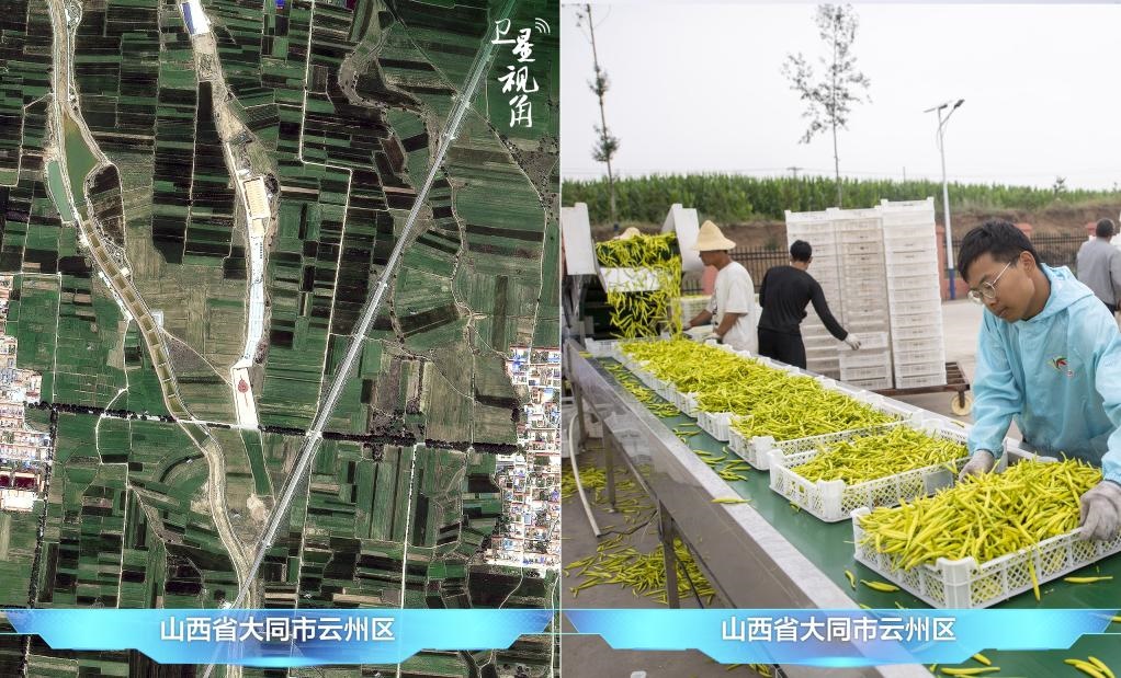 當前，大同市開發(fā)黃花菜品、食品、飲品、功能食品、化妝品、文創(chuàng)產(chǎn)品六大系列130余種，全產(chǎn)業(yè)鏈產(chǎn)值超40億元。
