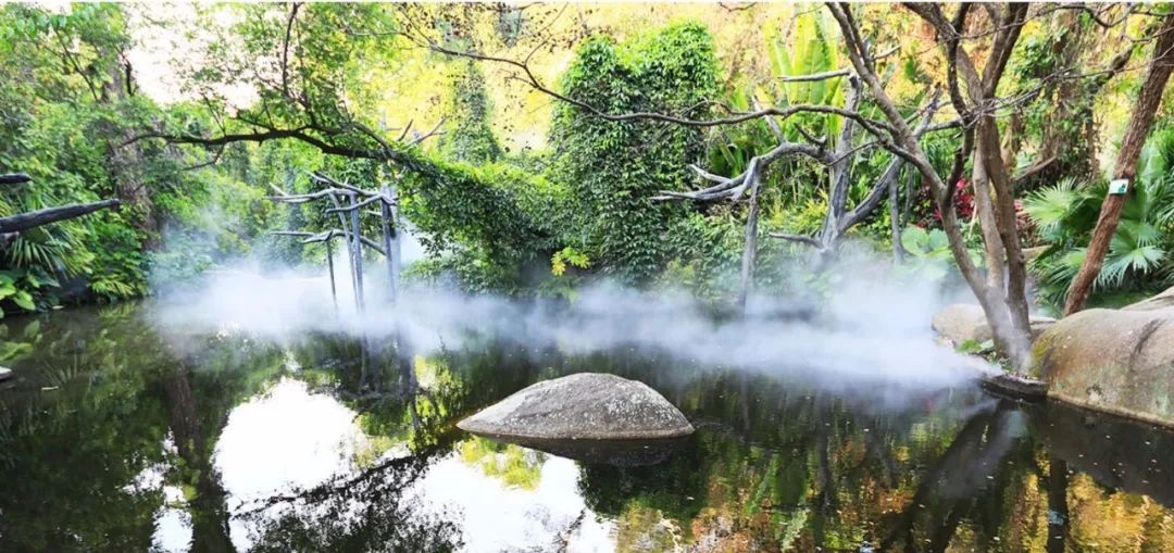 △鼓浪嶼-萬石山風(fēng)景名勝區(qū)重要組成部分廈門園林植物園熱門景點“雨林世界”。