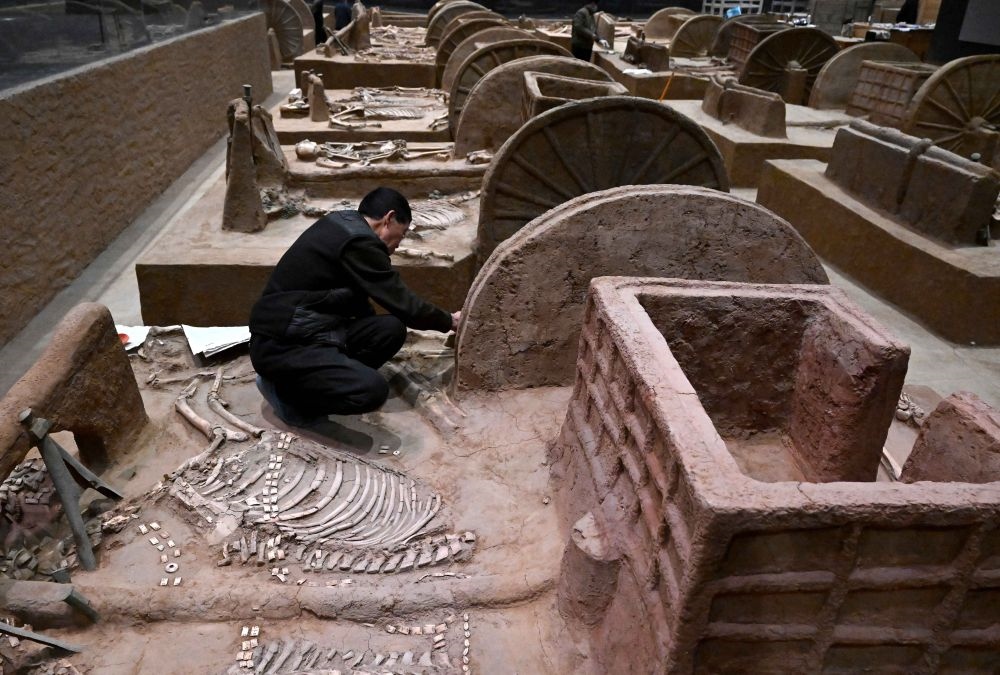 工作人員在殷墟博物館新館的展廳內(nèi)修復車馬遺跡（2月23日攝）。