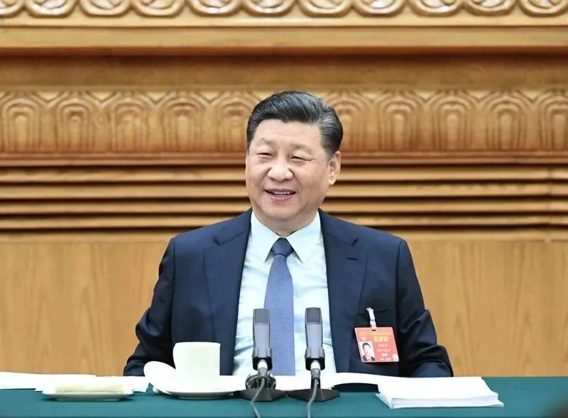 2019年3月8日，習(xí)近平參加十三屆全國人大二次會(huì)議河南代表團(tuán)的審議。新華社記者 謝環(huán)馳 攝