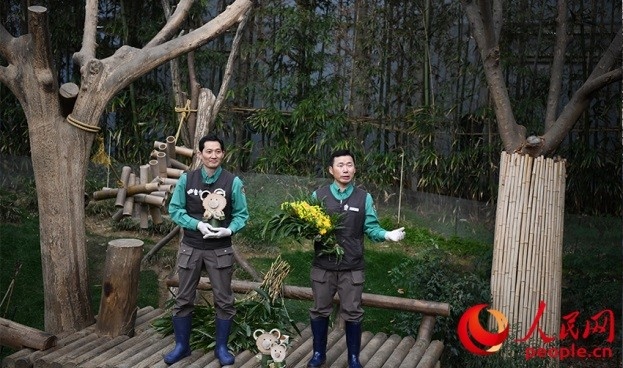 熊貓飼養(yǎng)員姜哲遠和宋永寬向媒體介紹為“福寶”準備的送別禮物。人民網(wǎng) 李帆攝