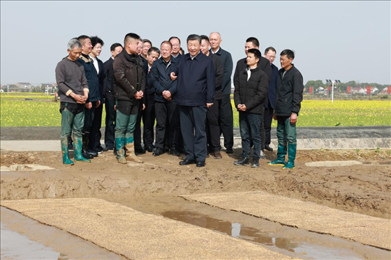 △ 2024年3月19日，習(xí)近平總書記來到湖南省常德市鼎城區(qū)謝家鋪鎮(zhèn)糧食生產(chǎn)萬畝綜合示范片區(qū)考察。