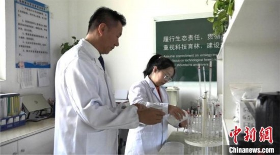 圖為王佐(左一)在廠區(qū)實驗室內(nèi)工作。白先森 攝