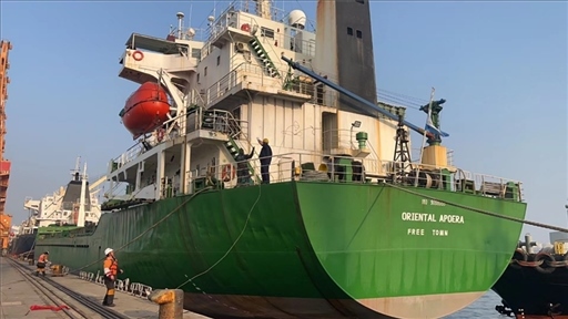 中蘇海運直航貨輪靠泊蘇里南碼頭。中國駐蘇里南大使館供圖