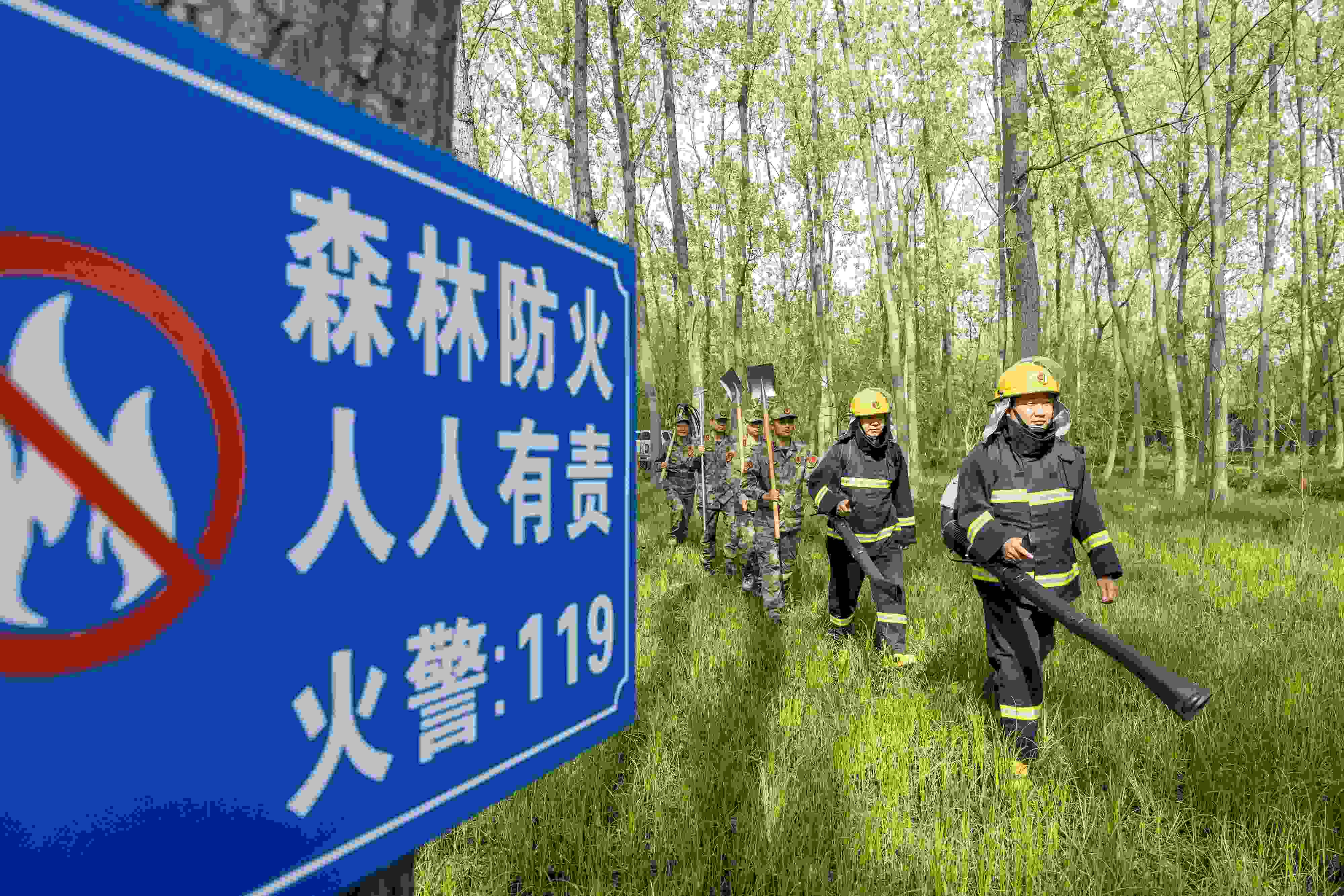 2024年4月9日，合肥市大房郢水庫水源保護(hù)地廬陽經(jīng)濟(jì)開發(fā)區(qū)段，基干民兵正在林間巡查火災(zāi)隱患。