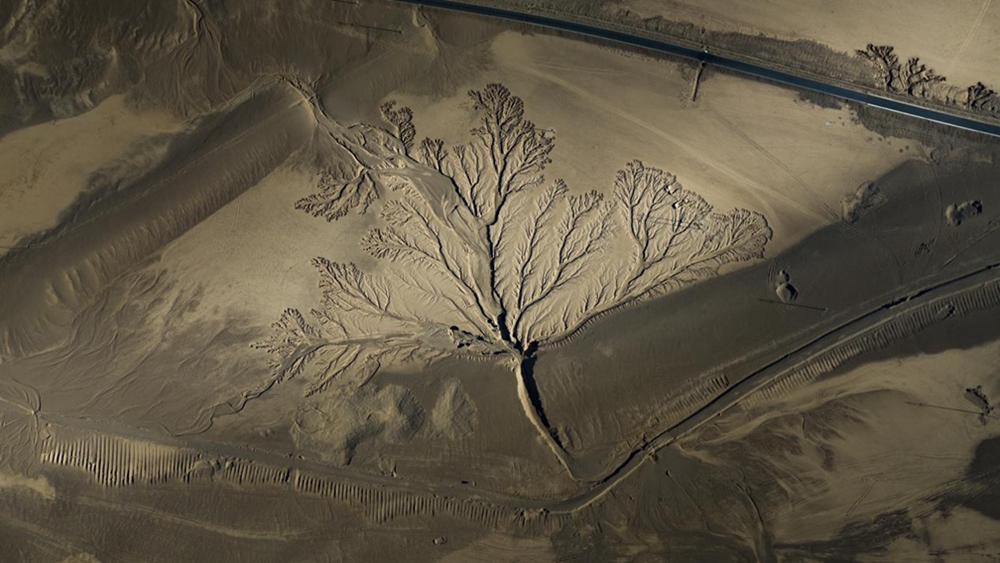 無(wú)人機(jī)視角下的西藏阿里地區(qū)改則縣“大地之樹”景觀。尼瑪多吉攝