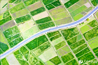 無(wú)人機(jī)視角下的西藏山南市瓊結(jié)農(nóng)田。人民網(wǎng)記者 次仁羅布攝