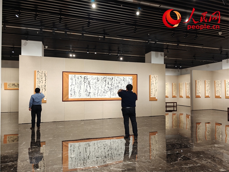 觀眾正在參觀展覽。人民網(wǎng)記者 韋衍行攝