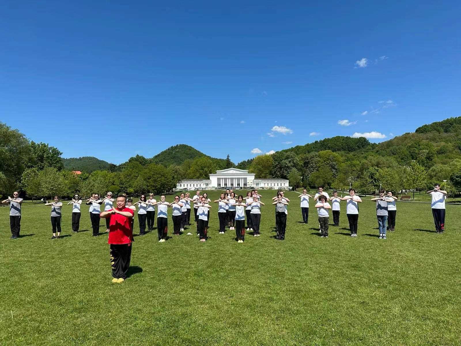 北京體育大學教授武冬帶領學員進行太極拳演練。布加勒斯特中國文化中心供圖