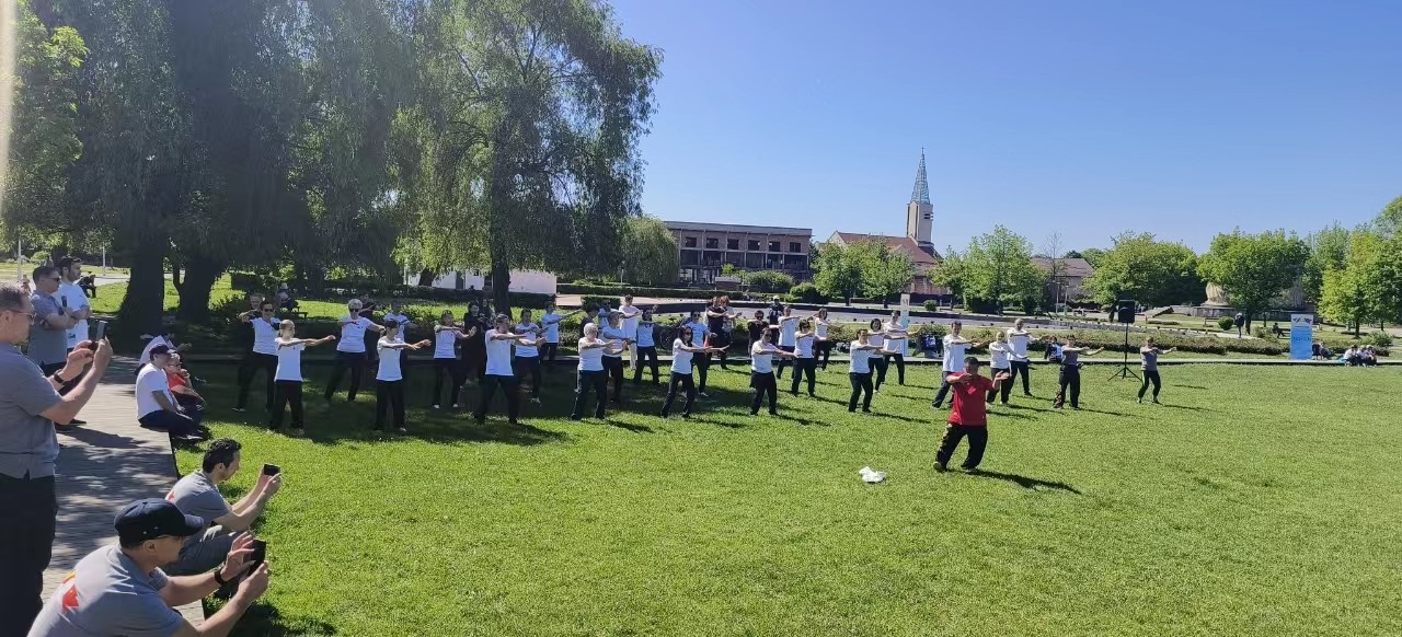 北京體育大學教授武冬做太極拳進階教學。布加勒斯特中國文化中心供圖