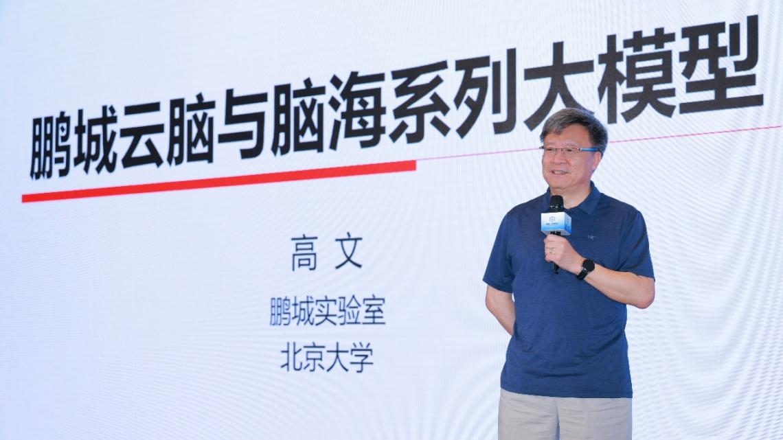 高文院士做大會(huì)特邀報(bào)告。主辦方供圖