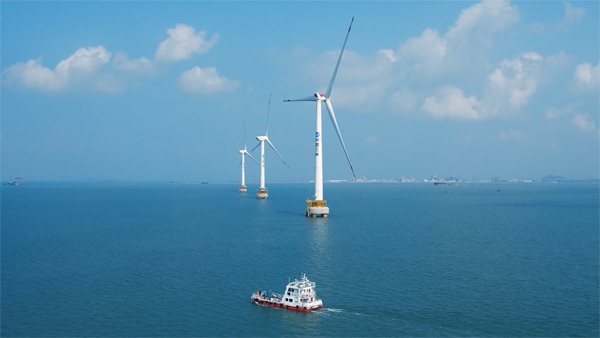 福建興化灣海上風(fēng)電場。受訪者供圖