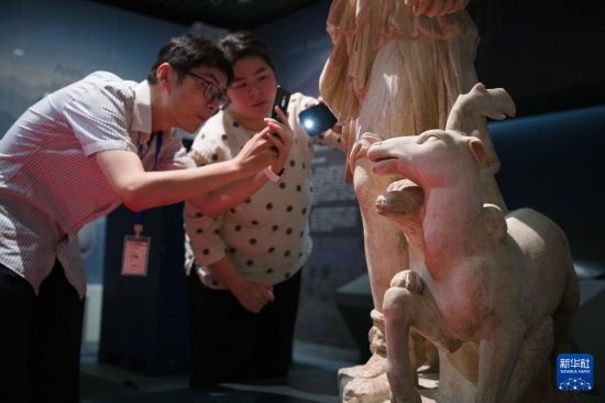 7月2日，安徽博物院工作人員在拍攝開箱后的古希臘文物。新華社記者 張端 攝