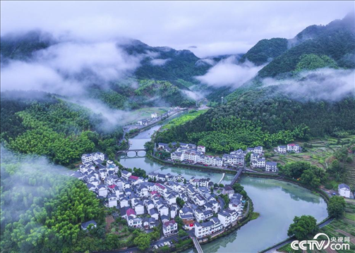 2024年6月19日，浙江省杭州市淳安縣楓樹嶺鎮(zhèn)下姜村，雨后云霧繚繞。