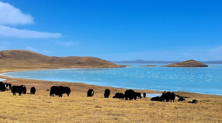 在三江源國家公園黃河源園區(qū)拍攝的扎陵湖風(fēng)光（2022年3月12日攝）。新華社記者 呂雪莉 攝