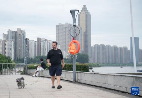 7月20日，在安徽蕪湖市，馬丁在長江邊遛狗。新華社記者 傅天 攝