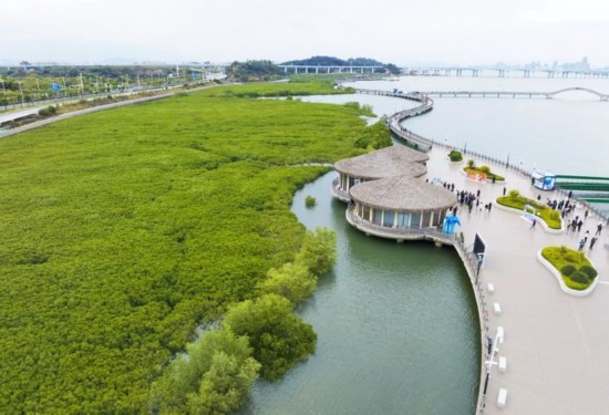 2024年1月23日拍攝的廈門市翔安區(qū)下潭尾紅樹林公園（無人機(jī)照片）。新華社記者 林善傳 攝