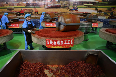 工人用電動(dòng)石碾加工辣椒面。新華社記者 范培珅 攝