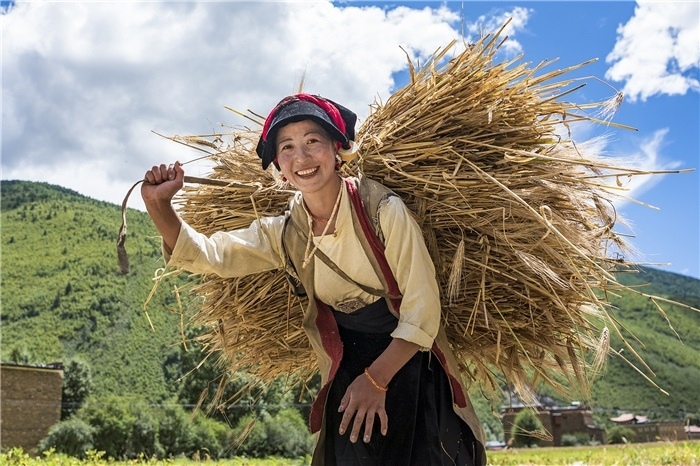 康定市甲根壩鎮(zhèn)青稞豐收，農(nóng)牧民臉上洋溢著豐收的喜悅。林革文攝