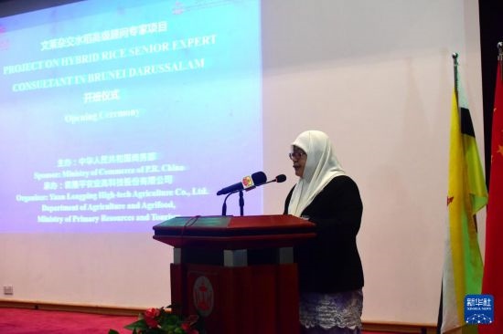 10月26日，文萊初級資源與旅游部常任秘書圖蒂亞蒂在斯里巴加灣市出席中國與文萊雜交水稻高級專家顧問項(xiàng)目啟動儀式。新華社記者 李萌 攝