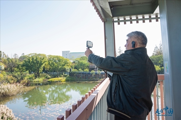 參觀白鷺園。環(huán)球網(wǎng)供圖