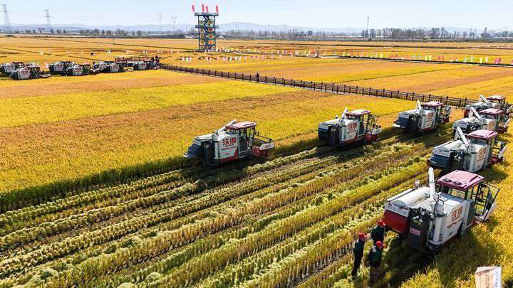 2024年9月22日，在黑龍江省重要糧食產(chǎn)區(qū)哈爾濱市方正縣的稻田中，農(nóng)機(jī)開啟“黑龍江秋收第一鐮”作業(yè)（無人機(jī)照片）。新華社記者 王松 攝