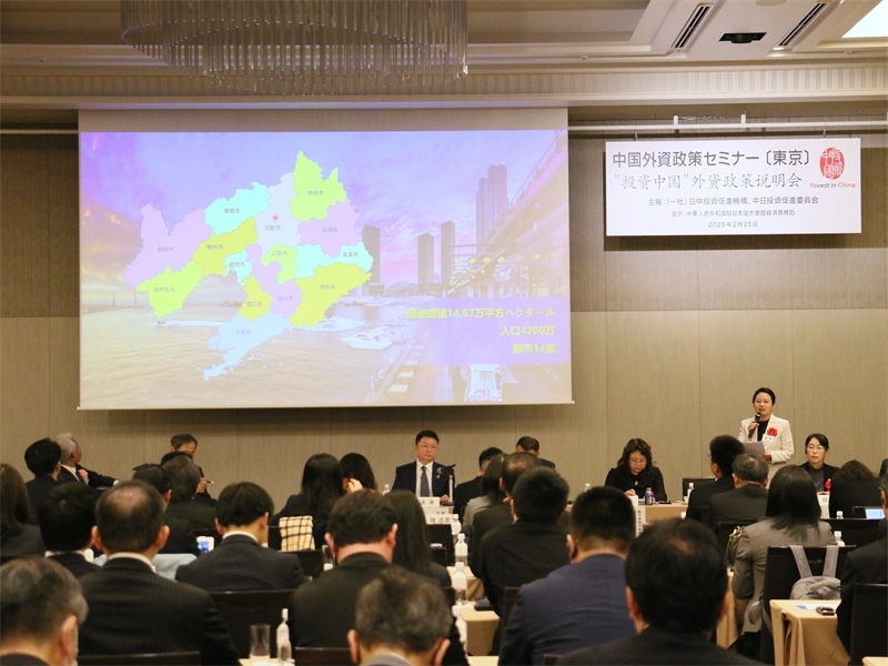 地方代表進(jìn)行專題投資推介。人民網(wǎng) 許可攝