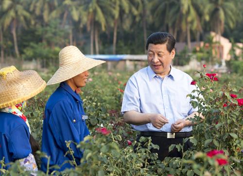 △2013年4月9日，習(xí)近平總書記在海南亞龍灣蘭德玫瑰風(fēng)情產(chǎn)業(yè)園向花農(nóng)了解玫瑰種植管理技術(shù)。