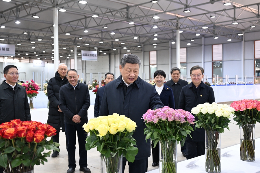 △3月19日下午，習(xí)近平總書記在云南麗江現(xiàn)代花卉產(chǎn)業(yè)園展廳考察時，察看鮮切花品種展示。