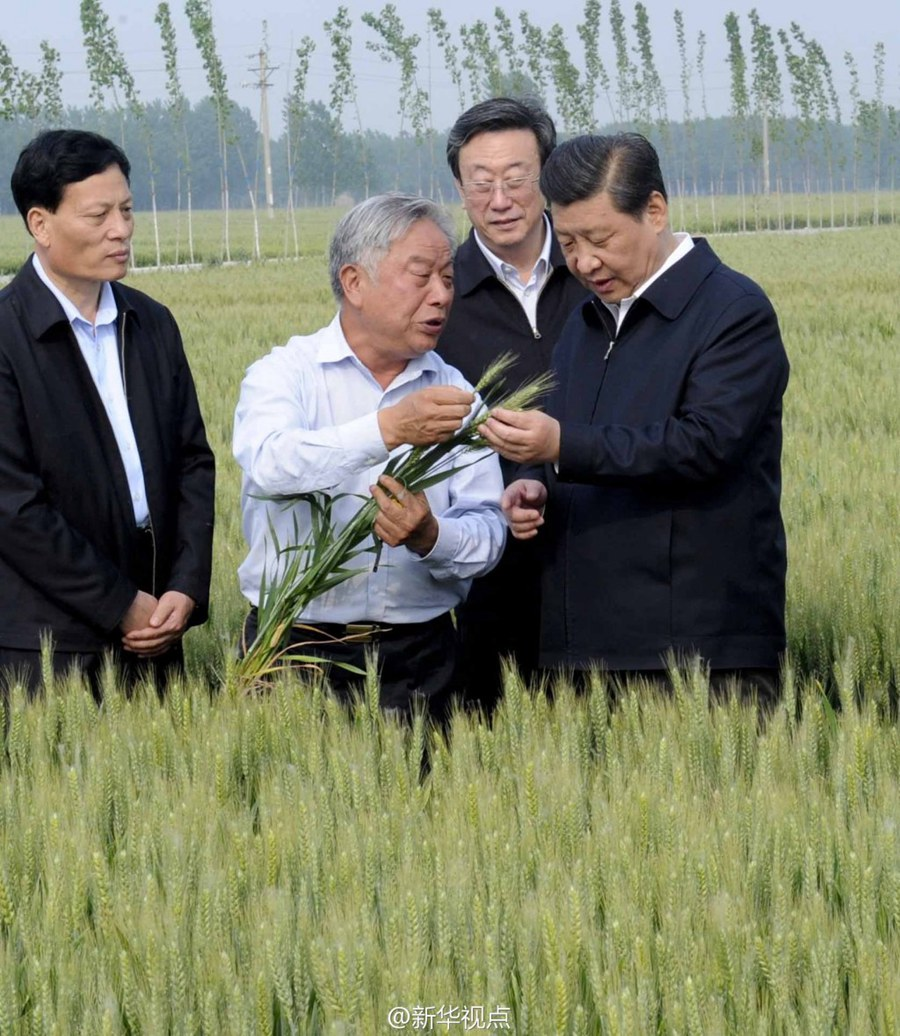 2014年5月，習(xí)近平總書記在河南省尉氏縣張市鎮(zhèn)高標(biāo)準(zhǔn)糧田察看小麥長勢。